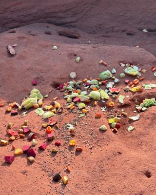 Pár pekných fotiek zo života Variegaty. Dnes piatkový predaj vynecháme, lebo odchádzam na pár dní preč, ale každý deň sa...